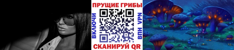 blacksprut маркетплейс  купить   Полысаево  Галлюциногенные грибы Psilocybine cubensis 